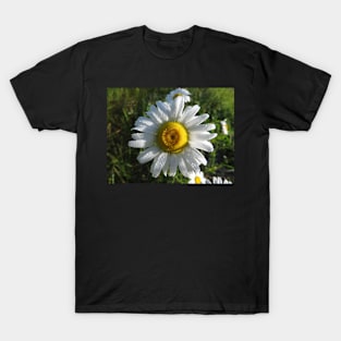 Dewy Daisy T-Shirt